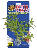 BETTA PLANT MAPLE LEAF