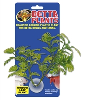 BETTA PLANT WINDOW LEAF