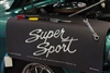 Super Sports Fender Gripper