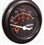 PROCHEM WATER TEMPERATURE GAUGE, # 18-808530