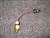 Prochem Low Water Pressure Switch # 32-900184