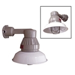 Wall Mount Incandescent with Dome 150-300W