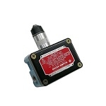 Explosion Proof Limit Switch with Plunger