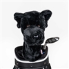 Daphne's Black Lab Driver Headcover