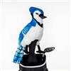 Daphne's Blue Jay Driver Headcover