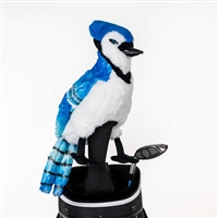 Daphne's Blue Jay Driver Headcover