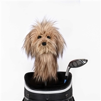 Daphne's Scruffy Dog Driver Headcover