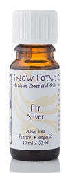 Snow Lotus - Fir Silver - 10 ml