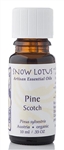 Snow Lotus - Pine Scotch - 10 ml