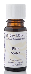 Snow Lotus - Pine Scotch - 10 ml