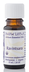 Snow Lotus - Ravintsara - 10 ml
