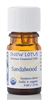 Snow Lotus - Sandalwood Mysore - 5 ml