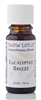 Snow Lotus - Eucalyptus Breeze - 10 ml