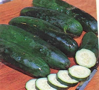 Cucumber for Slicing