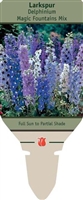 Larkspur Delphinium 'Magic Fountains Mixture'