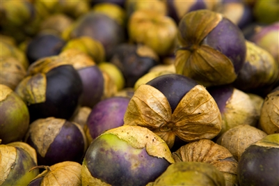 Tomatillo