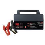 SCUINC100 Power Supply / Automatic Battery Charger, 70/100 A
