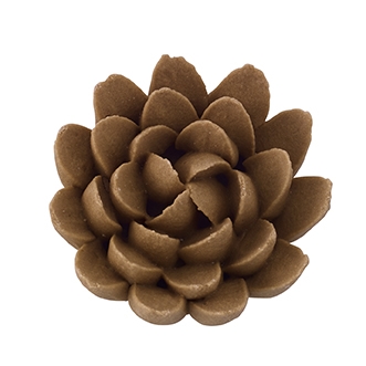 Chrysanthemum - Med-Lg - Brown