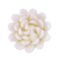 Chrysanthemum - Med-Lg - White