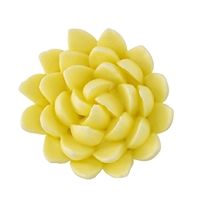 Chrysanthemum - Med-Lg - Yellow