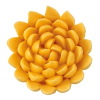 Chrysanthemum Assortment - Large