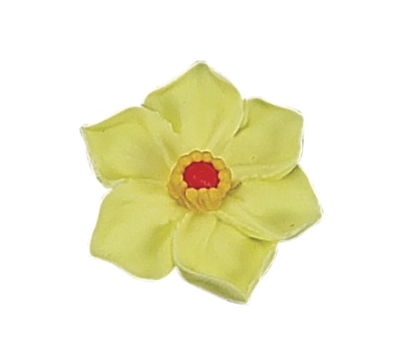 Medium Daffodil - Assorted Colors