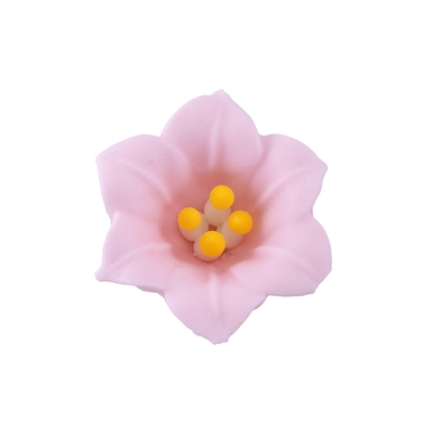 Med-Lg Easter Lily - Pink