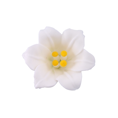 Med-Lg Easter Lily - White