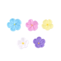 Mini Forget Me Nots - Assorted Colors