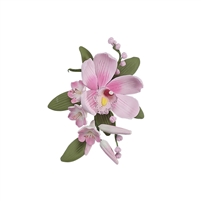 Australian Cymbidium Hyacinth Spray - Pink