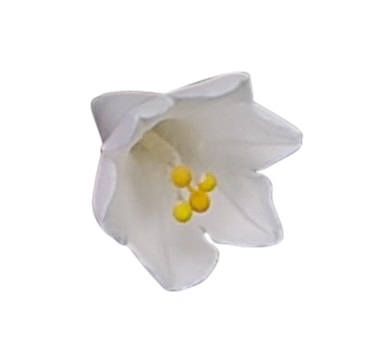 Agapanthus On A Wire - White With Yellow Stamens