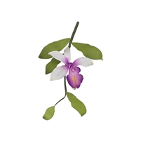 Bamboo Orchid Spray
