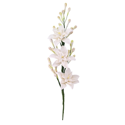 Tuberose Spray - White