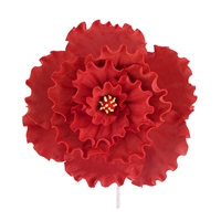 Chinese Double Rose - Red