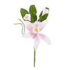Cymbidium Orchid Spray - Pink