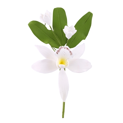 Cymbidium Orchid Spray - White