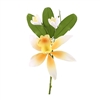 Cymbidium Orchid Spray - Yellow