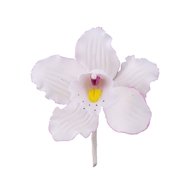 Medium Cymbidium Orchid Blossom - White With Lavender
