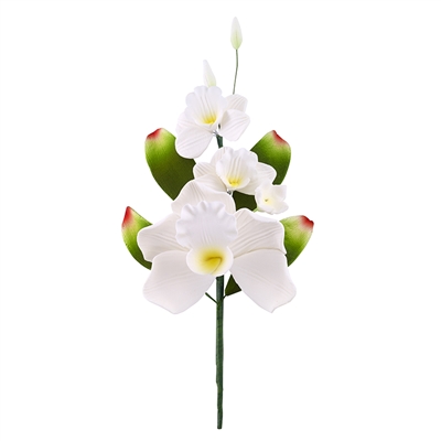 Cymbidium Orchid Spray - White - 3 Blossoms
