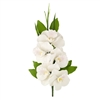 Cymbidium Orchid Spray -White - 5 Blossoms