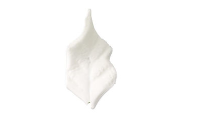 Large Formal Rose Leaf - White