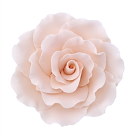 XXL Gum Paste Formal Rose - Cream