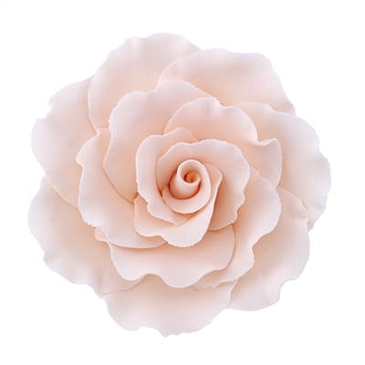 XXL Gum Paste Formal Rose - Cream