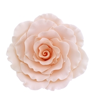 XXL Gum Paste Formal Rose - Peach