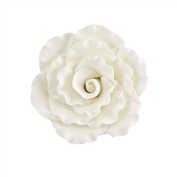 XXL Gum Paste Formal Rose - White