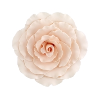 Jumbo Gum Paste Formal Rose - Peach