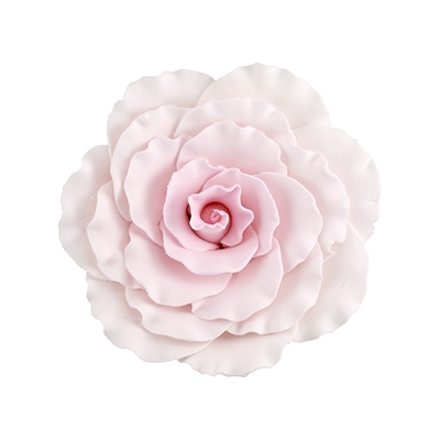 Jumbo Gum Paste Formal Rose - Pink