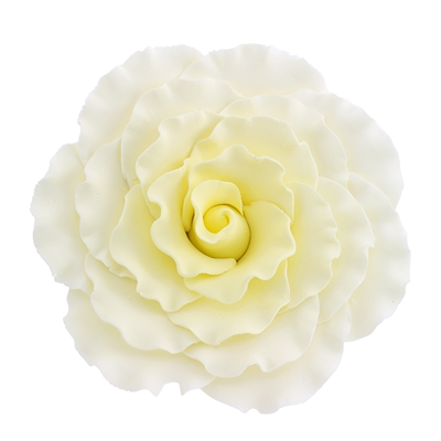 Jumbo Gum Paste Formal Rose - Yellow