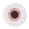 Large Gum Paste Gerbera Daisy - White