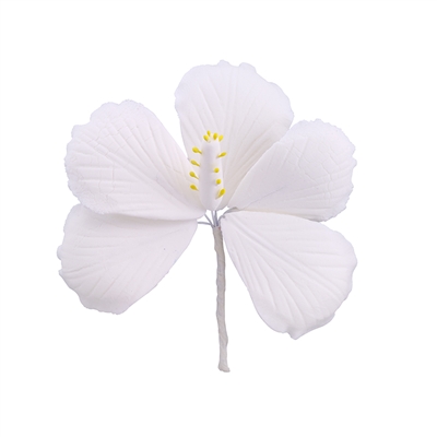 Gum Paste Hibiscus - White